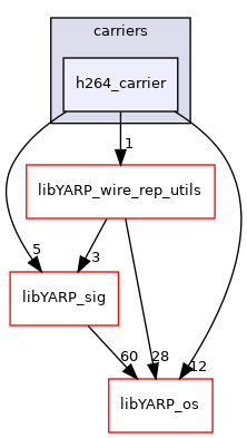 src/carriers/h264_carrier