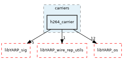src/carriers/h264_carrier